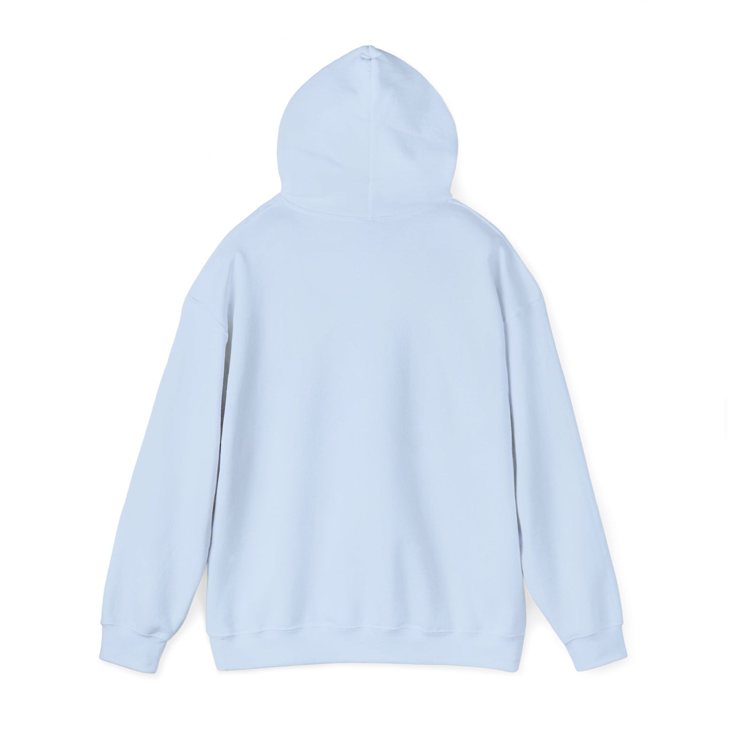 The Cranberries Band Graphic Hoodie — Vintage Rock Tour Style Sweatshirt
