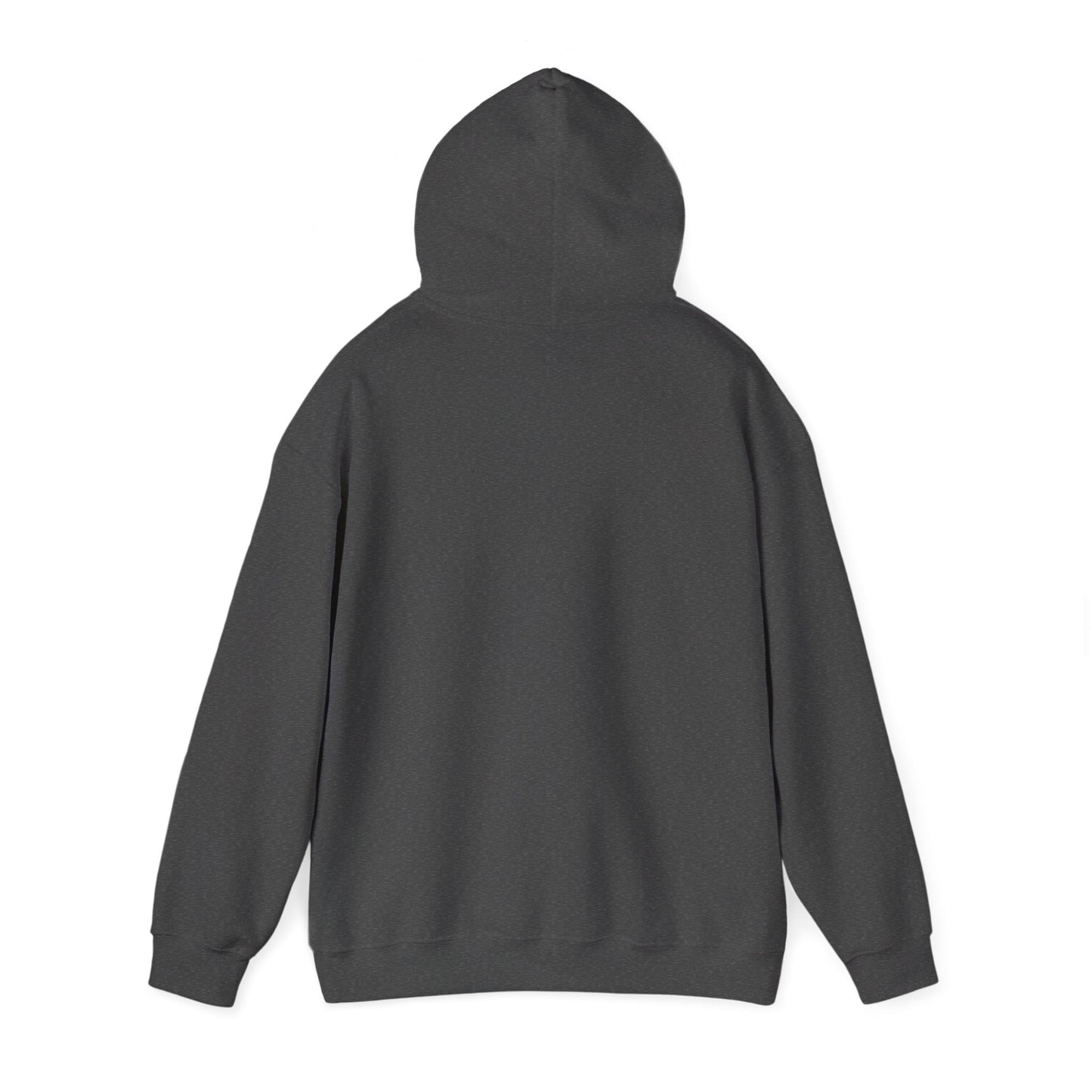 The Cranberries Band Graphic Hoodie — Vintage Rock Tour Style Sweatshirt